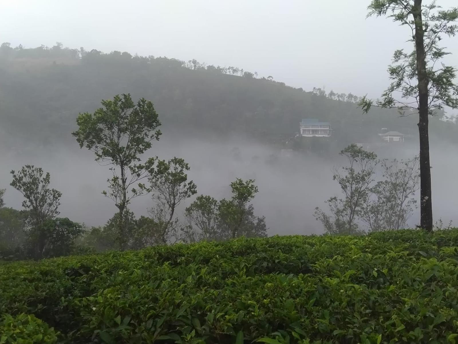 Tharayil Farm Stay Вагамон Екстер'єр фото