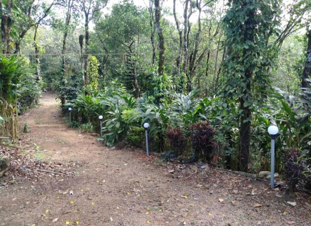 Tharayil Farm Stay Вагамон Екстер'єр фото