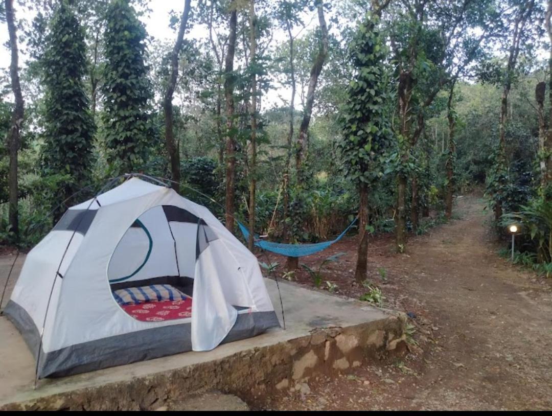 Tharayil Farm Stay Вагамон Екстер'єр фото