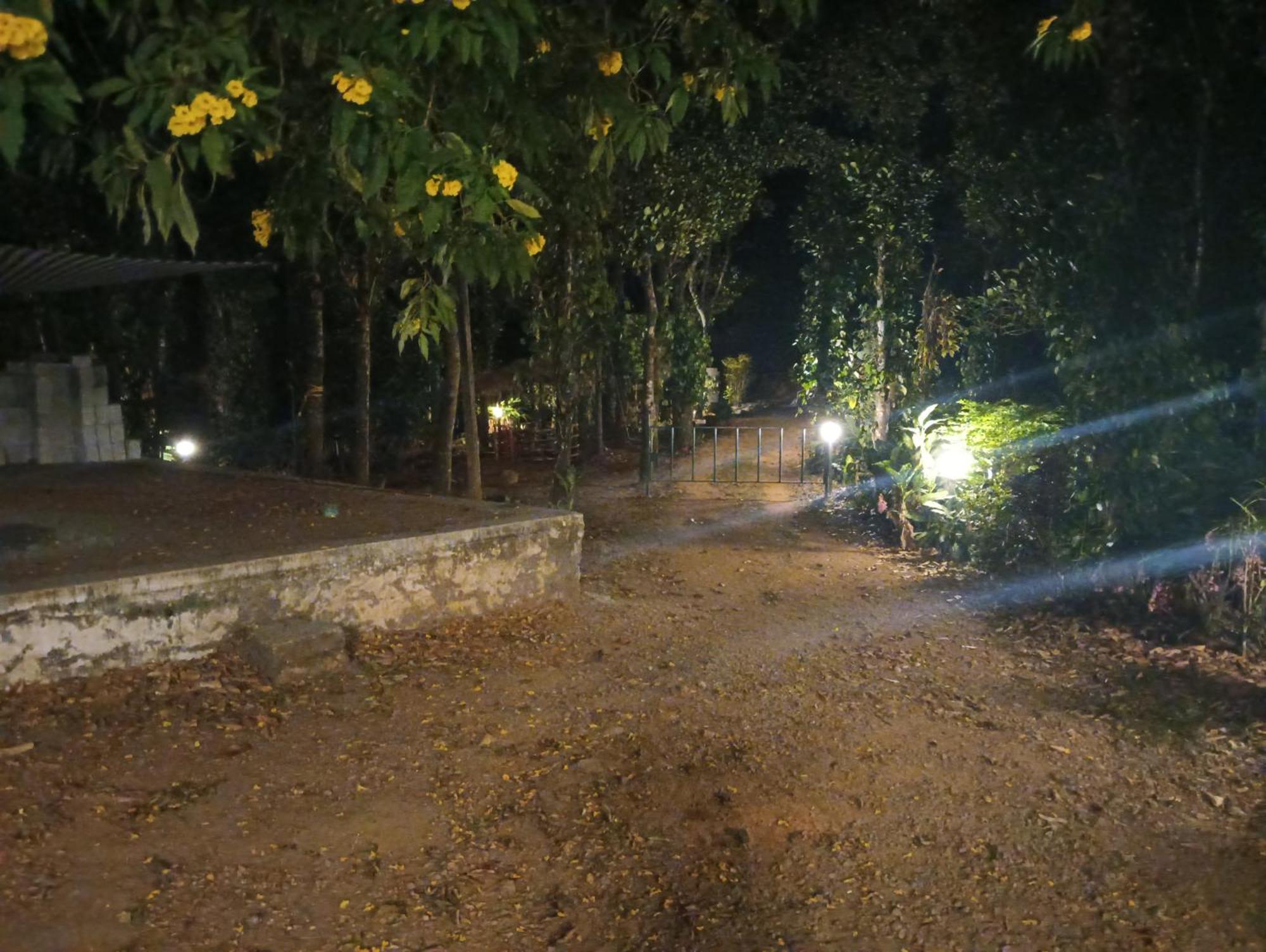 Tharayil Farm Stay Вагамон Екстер'єр фото