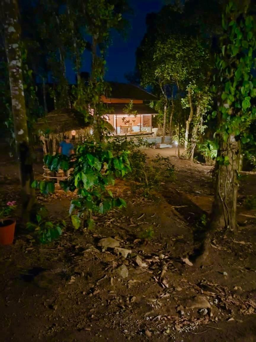 Tharayil Farm Stay Вагамон Екстер'єр фото