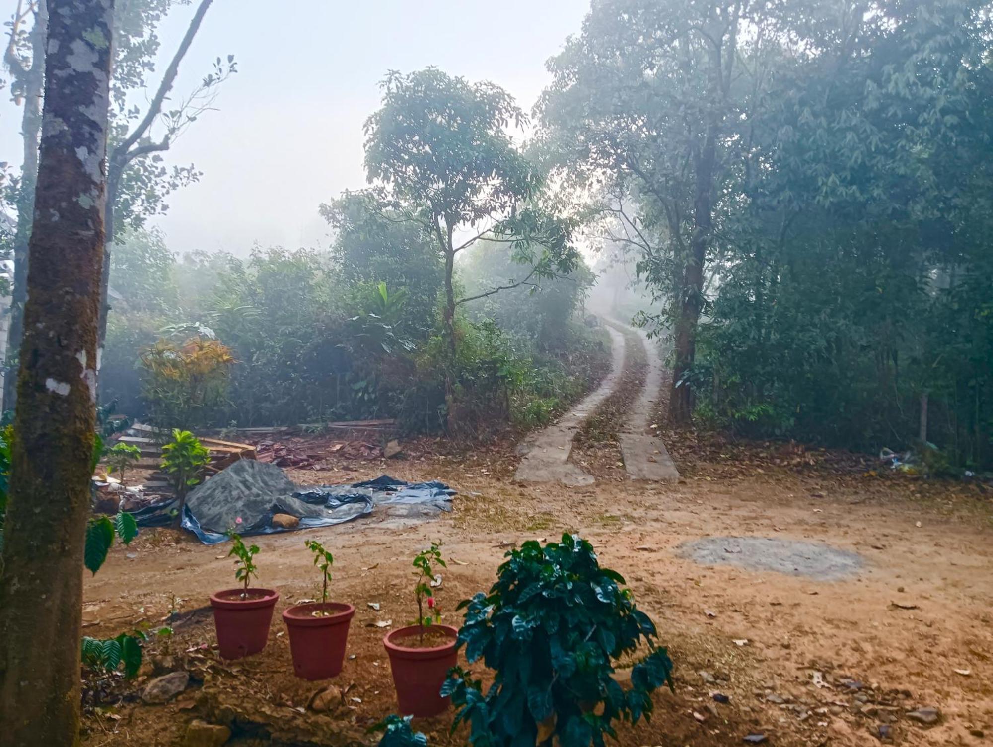 Tharayil Farm Stay Вагамон Екстер'єр фото